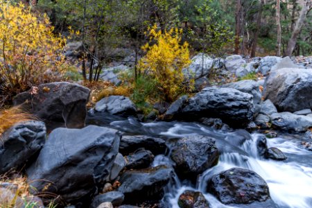 Creek crossing for A.B. Young Trail