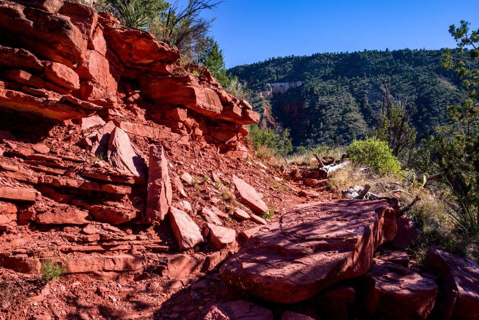 Woods Canyon Trail No. 93