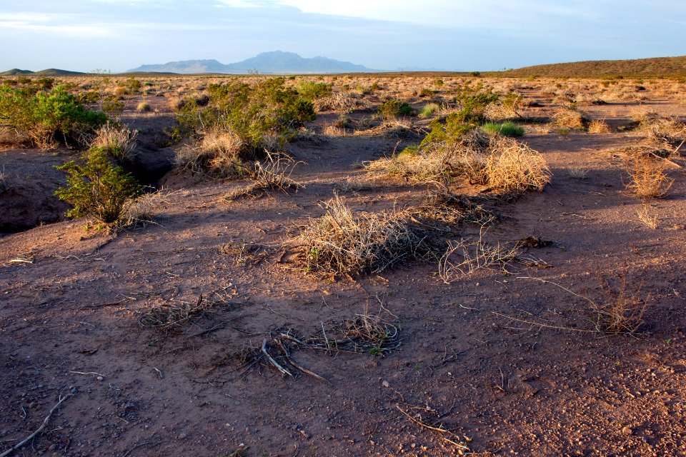 South side of Cookes Range