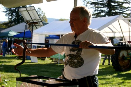 Freshwater Folk Festival (6)