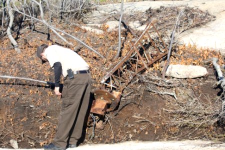 Damage at Stewart B. McKinney National Wildlife Refuge (CT)