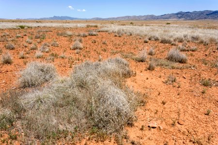 Allen Flat