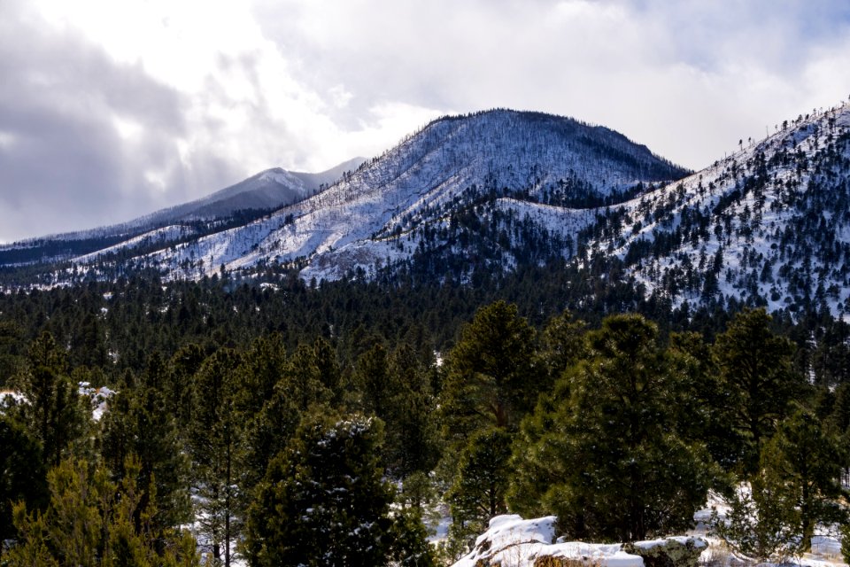 White Christmas
