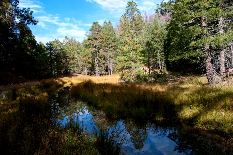 Fred Haught Trail #141