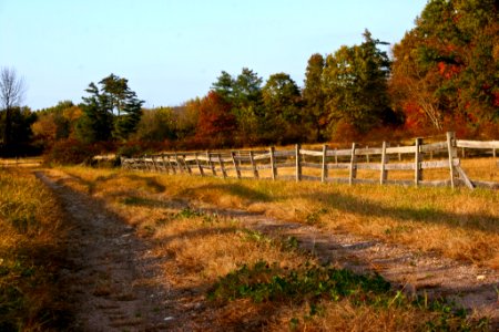 Fenced Pathway