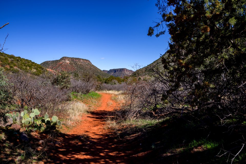 Woods Canyon Trail No. 93