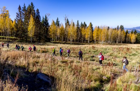 Aspen loop hikers