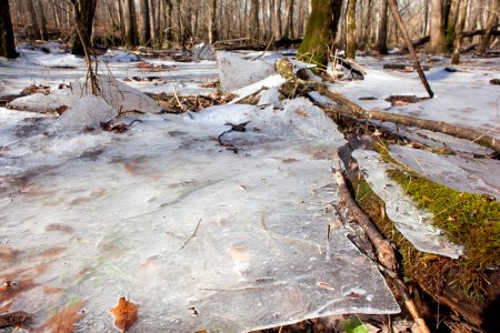 White River floodplain