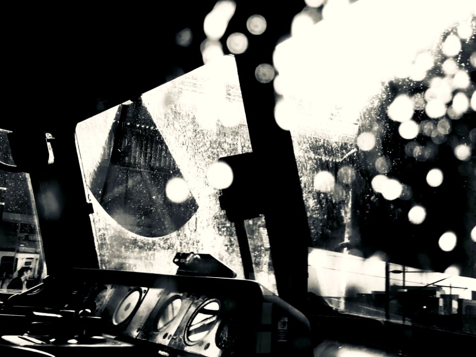 In the Early Morning Rain