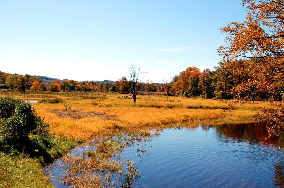 Cherry Valley National Wildlife Refuge: Peaks October 21 – October 28