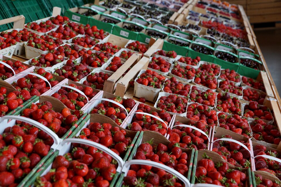 Food healthy nutrition