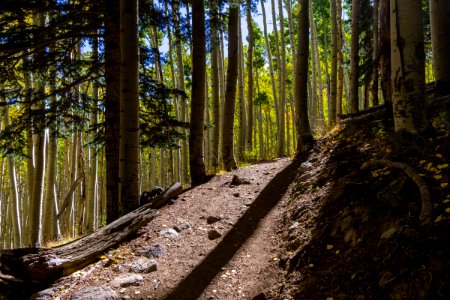 Inner Basin Trail No. 29