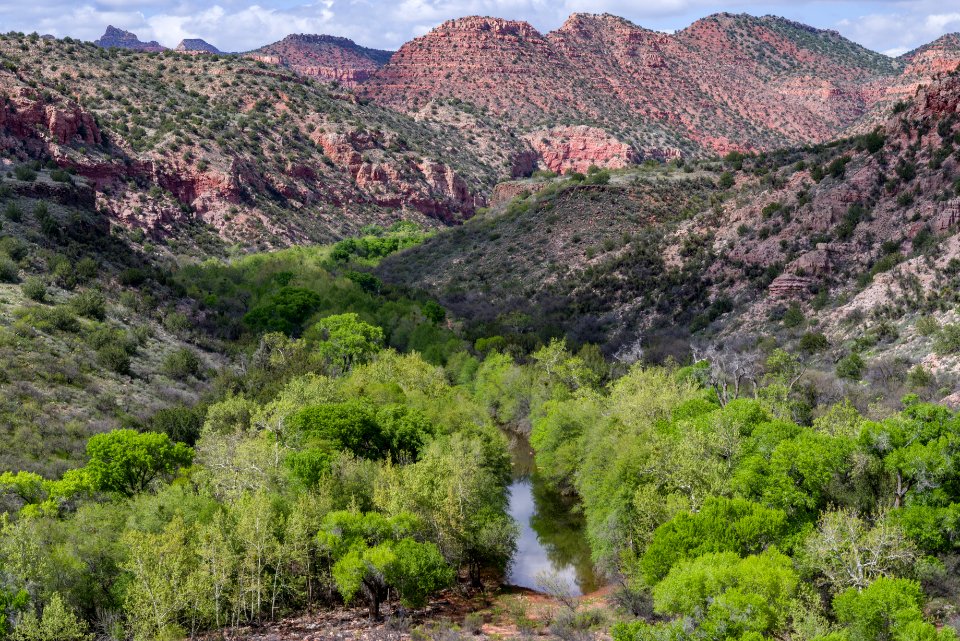 Parsons Trail No. 144