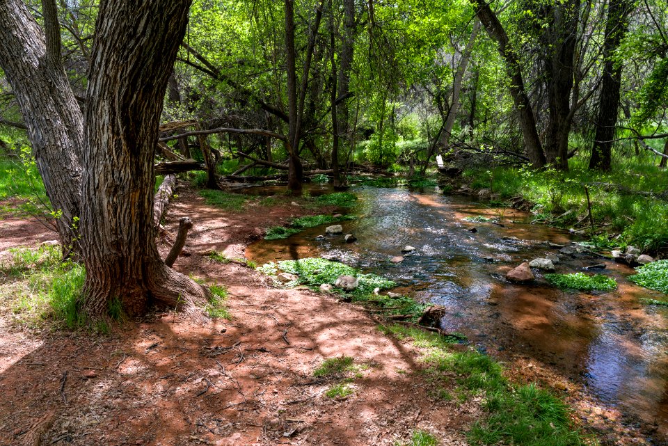 Parsons Trail No. 144