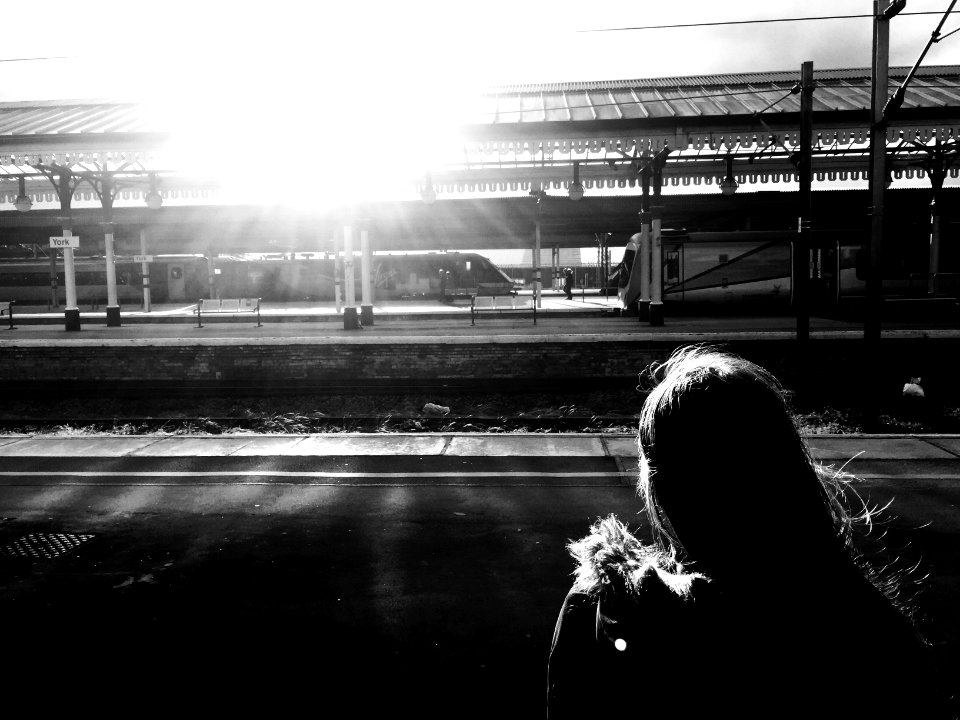 Summer Breeze (Explore)