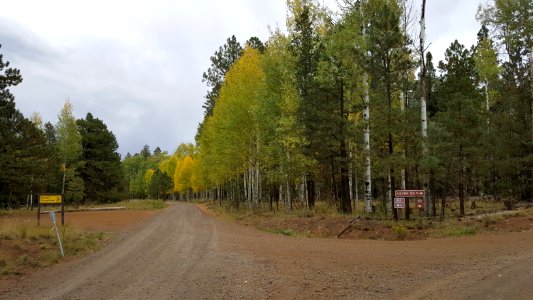 Hart Prairie Road and FR 418 (September 27, 2017)