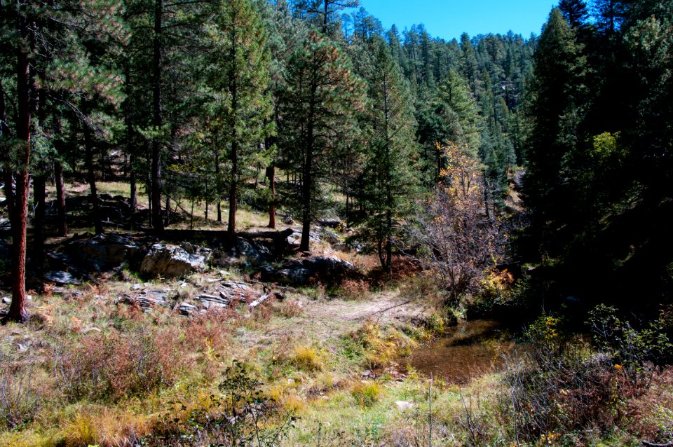 U-Bar Trail No. 28