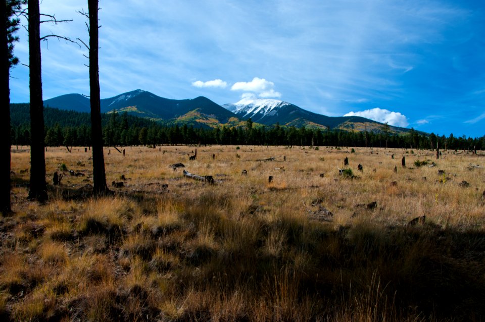 Around the Peaks Loop: FR 418