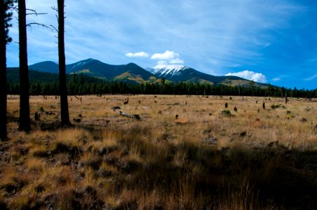 Around the Peaks Loop: FR 418
