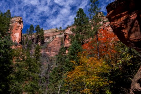 West Fork of Oak Creek Canyon No. 108