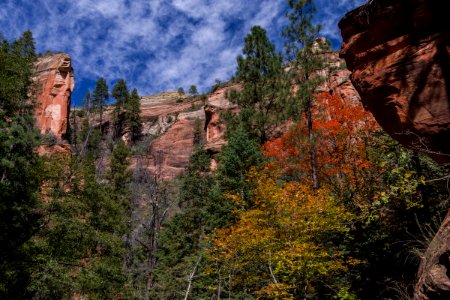 West Fork of Oak Creek Canyon No. 108 photo