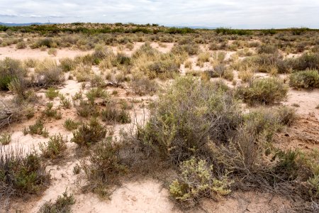 Main Mound Spring