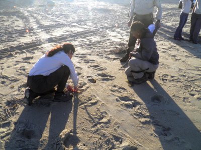 Measuring width of the tracks