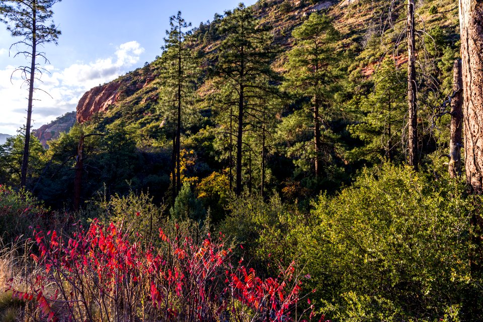 Vultee Arch Trail (November 1, 2017)