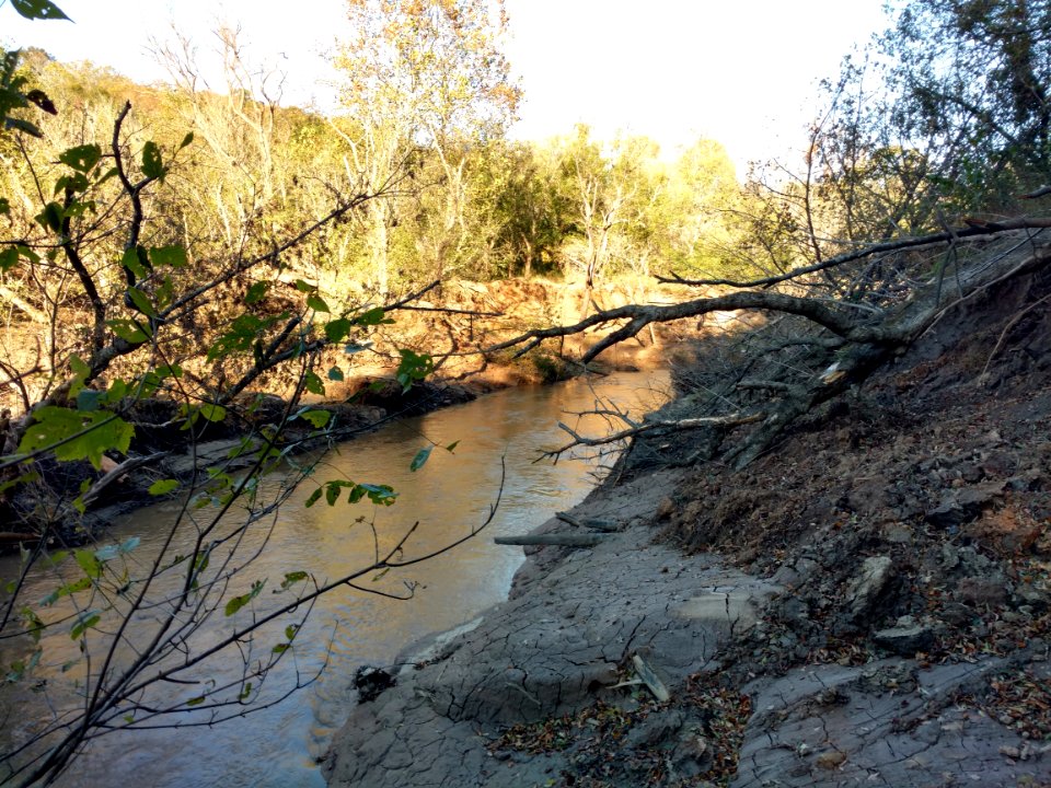 Pigg River Power Dam  Breach - Day 43