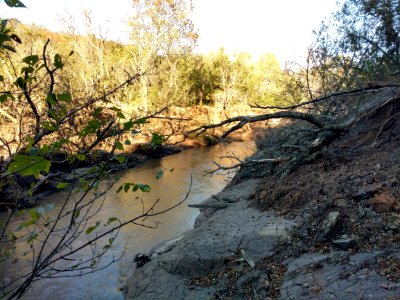 Pigg River Power Dam  Breach - Day 43