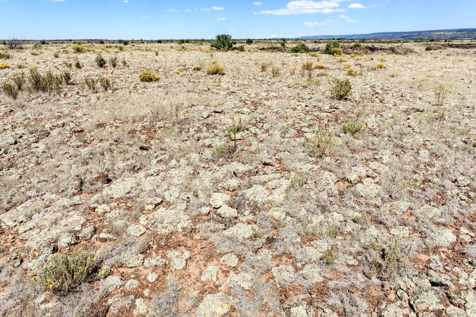 South of Grants Malpais