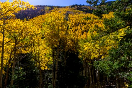 Inner Basin Trail No. 29