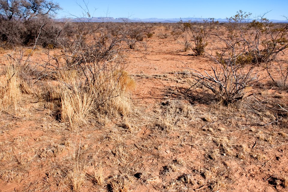 About two miles north-northeast of Cuchillo