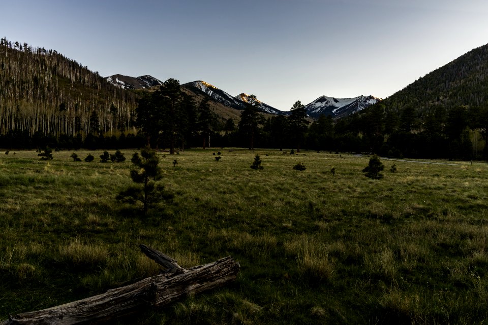 Lockett Meadow