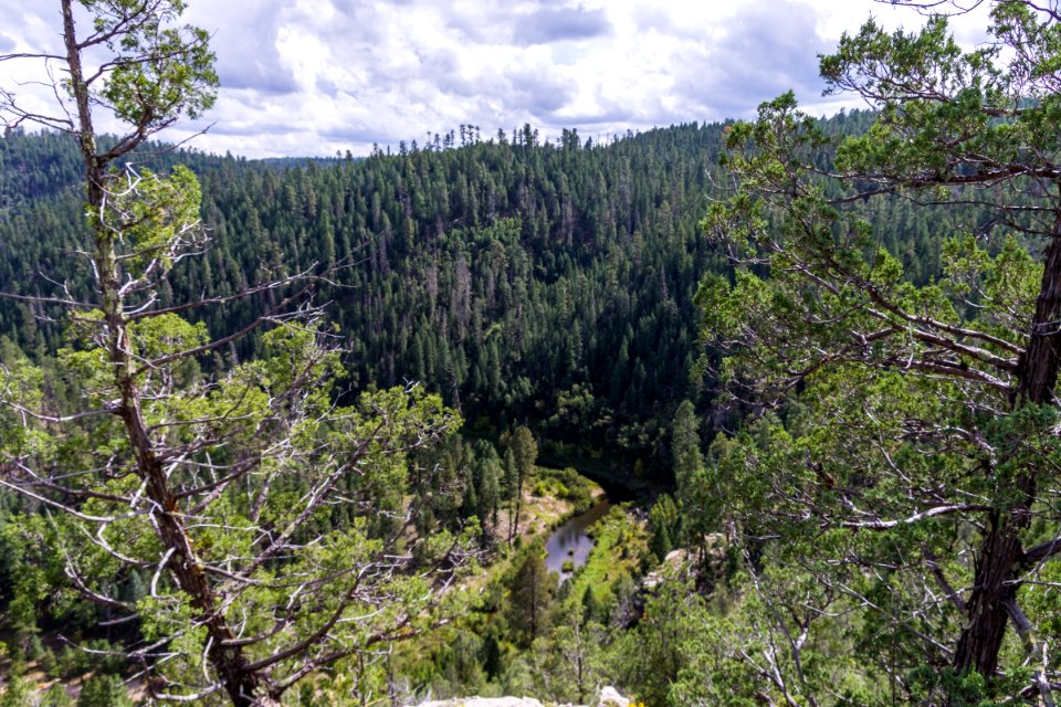 Kinder Crossing Trail