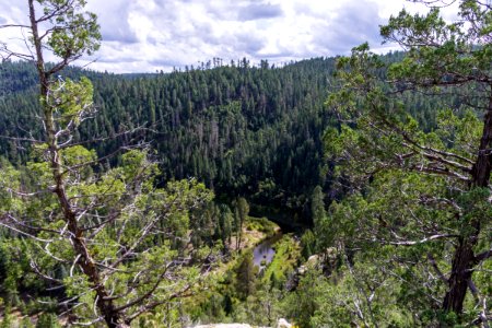 Kinder Crossing Trail