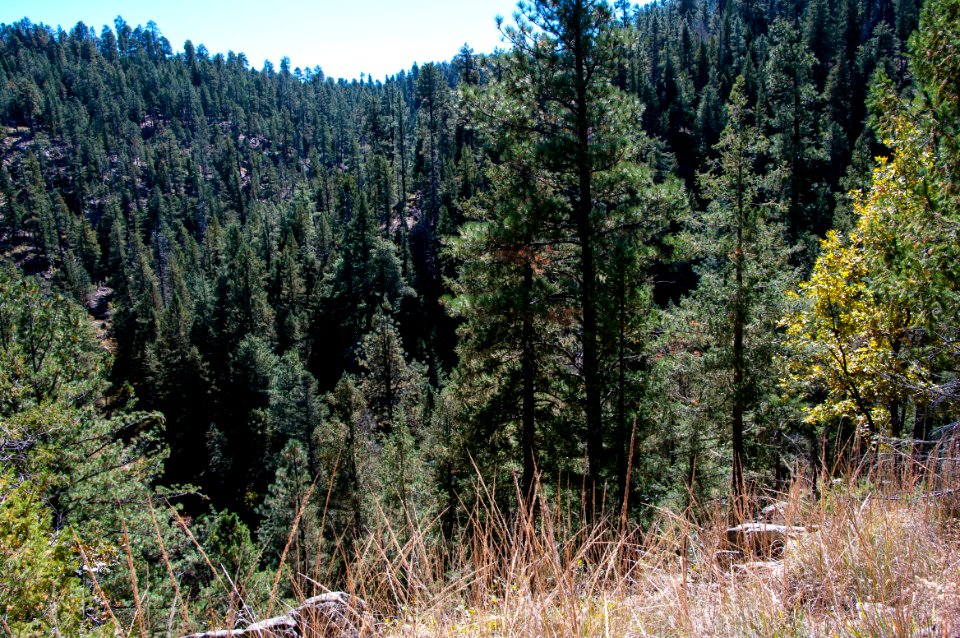 U-Bar Trail No. 28