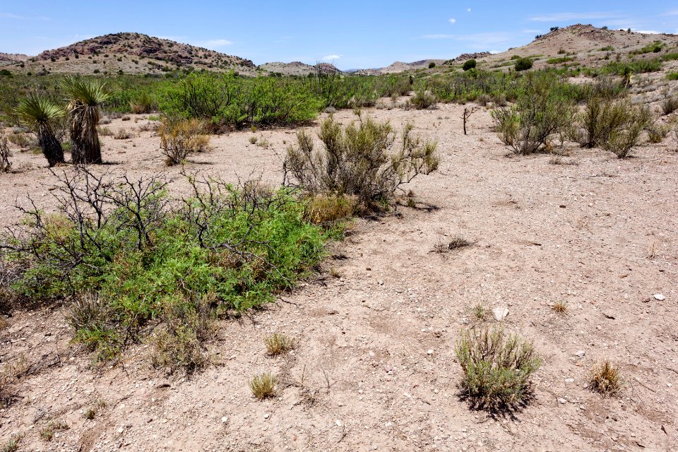 Northeast of Soldiers Farewell Hill