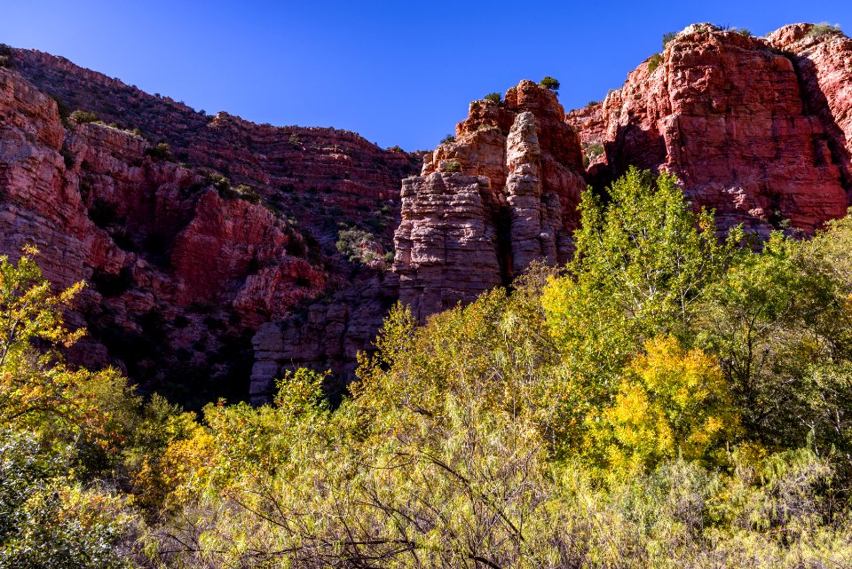 Fall color on Parsons Trail (November 8, 2017)