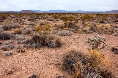 Between Trujillo Canyon and Wicks Gulch