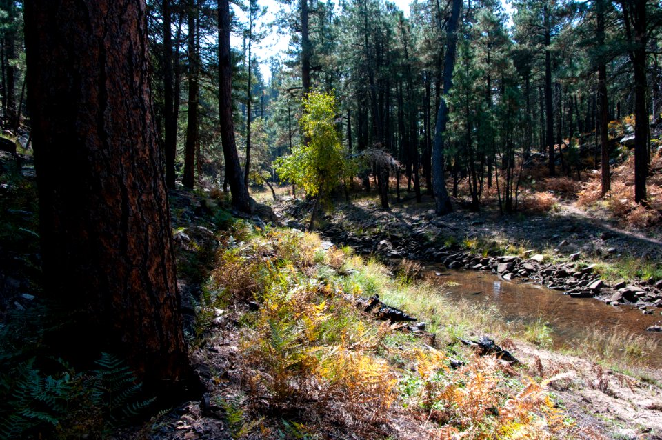 Fred Haught Trail #141