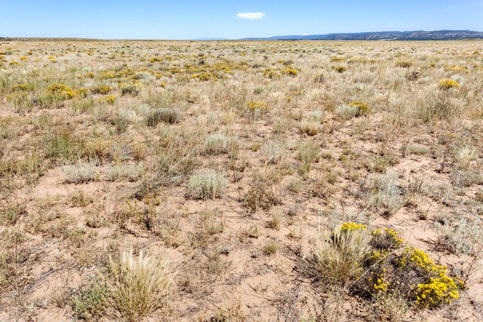 South of Grants Malpais