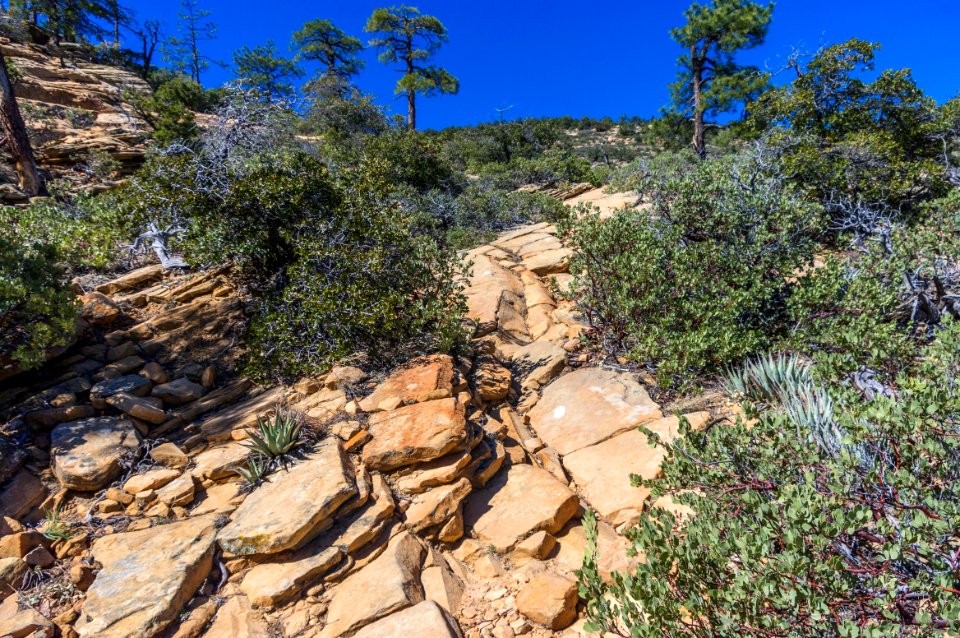 Bear Mountain Trail No. 54