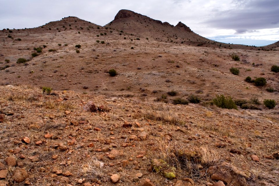 Southeastern foothills of Cookes Range
