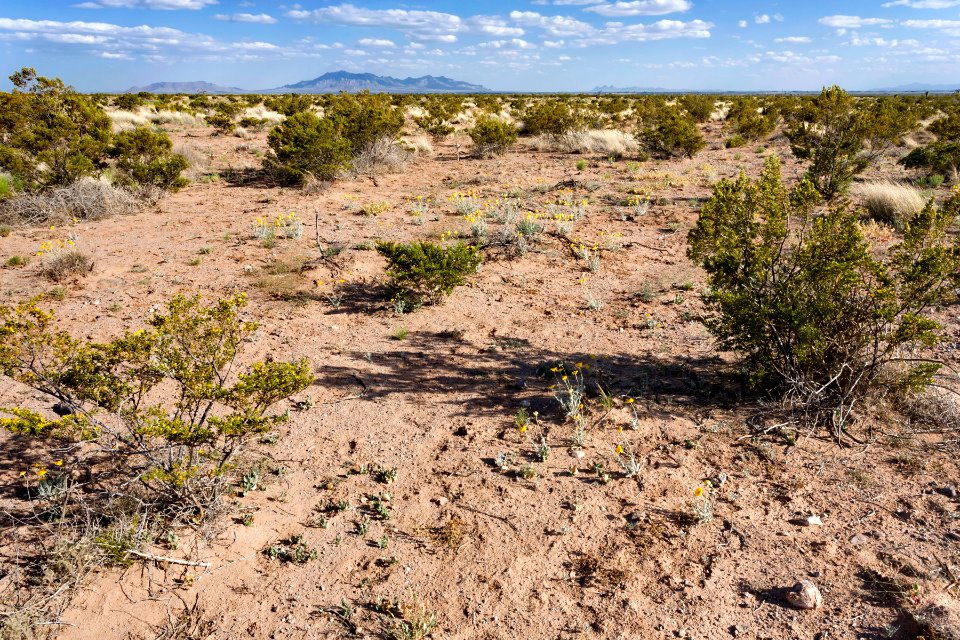 Near Goat Ridge