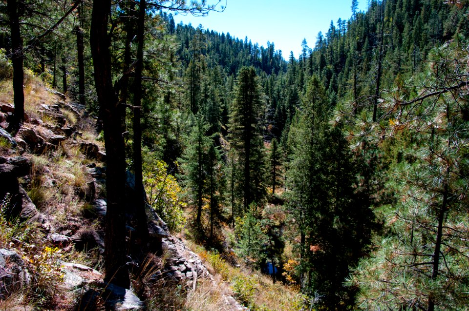 U-Bar Trail No. 28