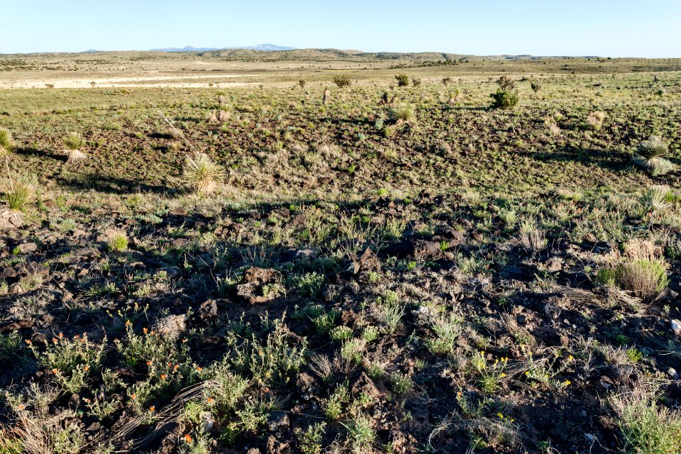 South of Cat Head Mesa