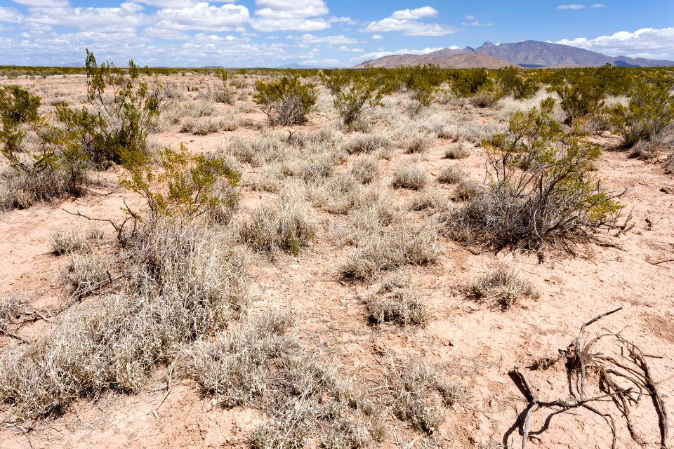 Near Goat Ridge