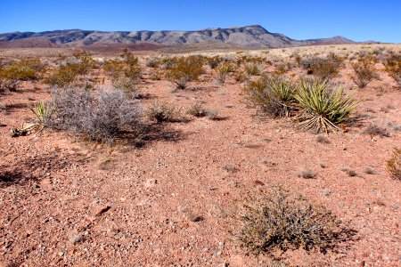 Eastern foothills of the Caballo Mountains near Yoast Draw