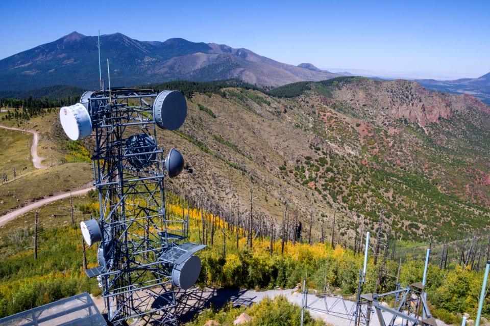 Elden Lookout Tower photo